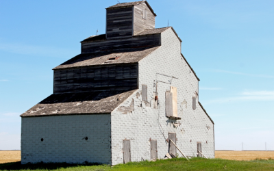 Bridging Communities in the Prairies by Amber Ali